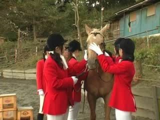 Get ready to be fucked hard in the stable like a horny nippon slut!