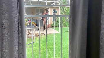 I caught my neighbours fucking outside in the backyard